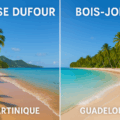 Plages paradisiaques de Guadeloupe ou Martinique comparées avec Anse Dufour et Bois-Jolan côte à côte pour choisir sa destination